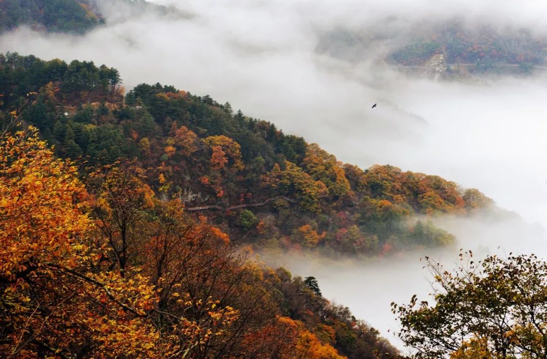 安徽最容易被忽视的地方,安徽低调吗
