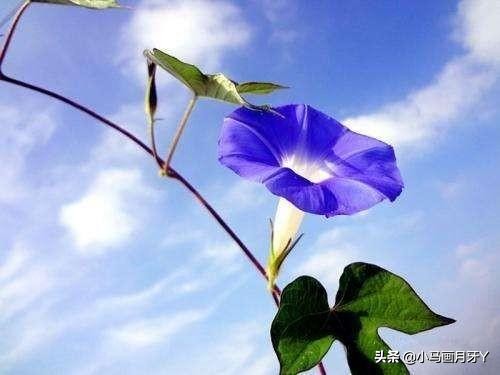 千字文作者周兴嗣简介,《千字文》全文注音版打印图片