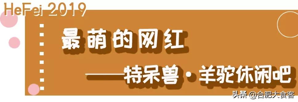 安徽合肥网红排前100名,合肥18-19年比较火的网红