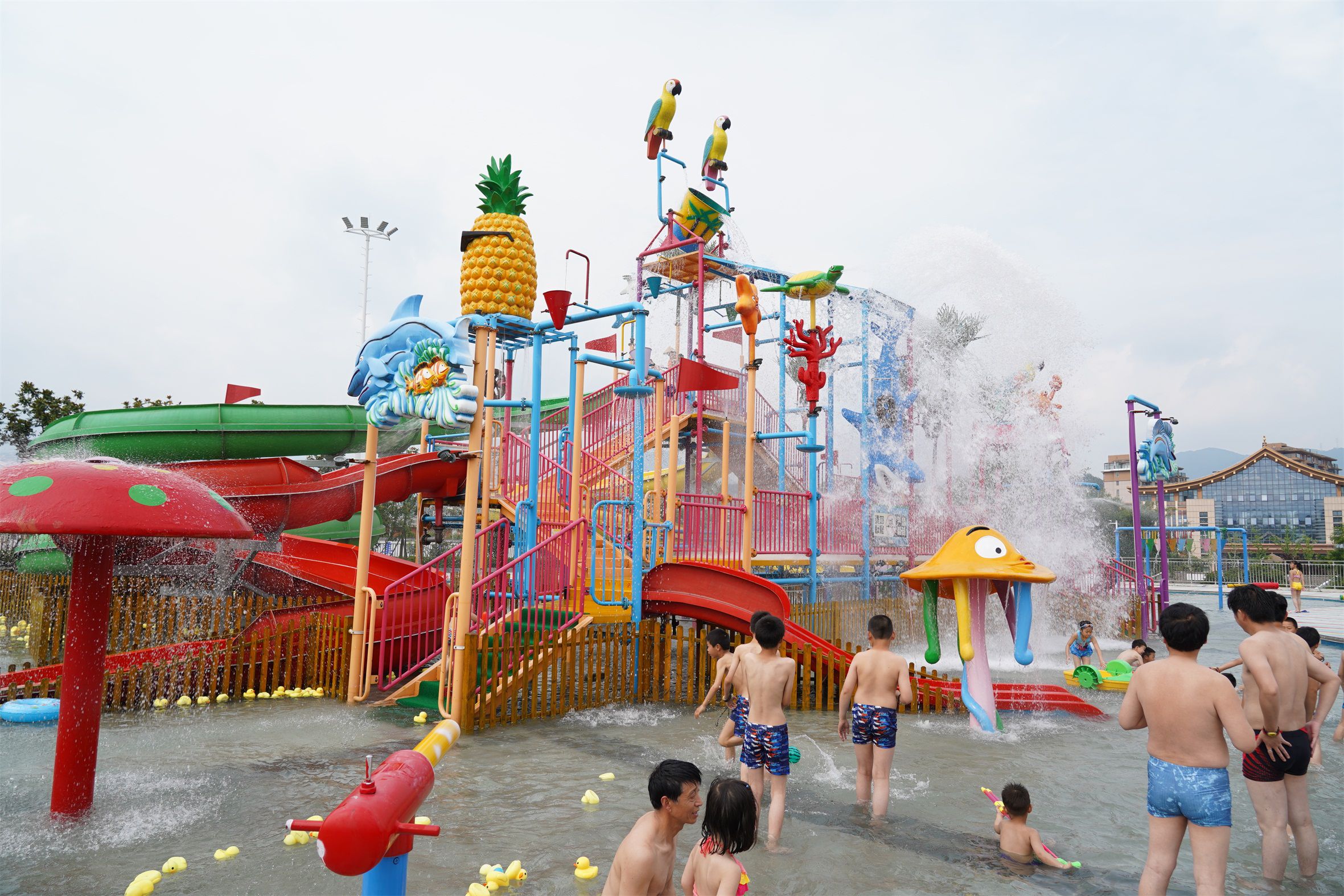 情系大别山抖音,情系大别山简谱