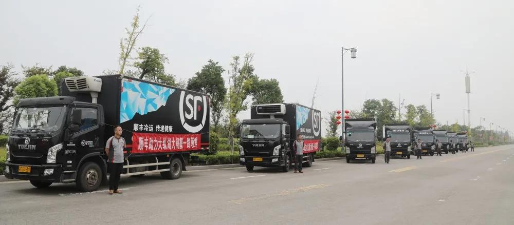 大纵湖大闸蟹价格表,大纵湖大闸蟹今日价格