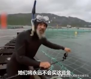外媒曝光了挪威三文鱼养殖真相吗,挪威三文鱼养殖环境恶劣新闻