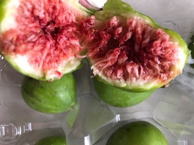 无花果树叶病虫害识别与防治技术,无花果树的栽培繁殖