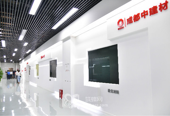 四川先进材料科技有限公司,四川中建材光电材料有限公司