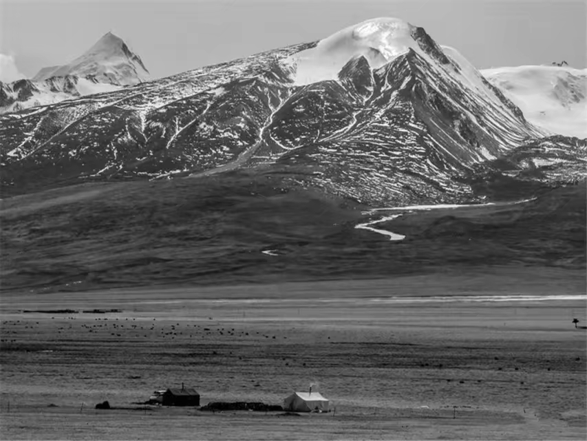 重温刀郎西海情歌,盘点刀郎西海情歌