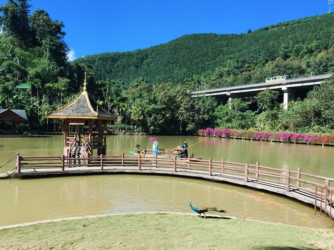 西双版纳三天两夜吃住行,云南西双版纳旅游景点攻略自由行