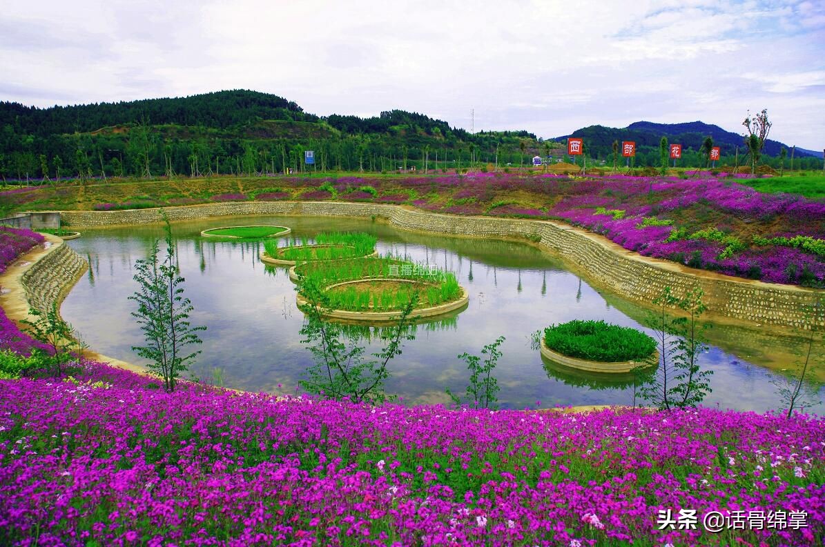 盐亭崛起,县域崛起