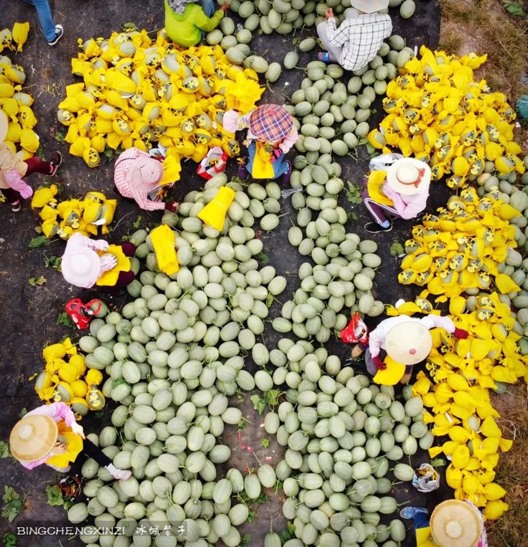 乐东九所海边康养基地,海南乐东九所景和家园
