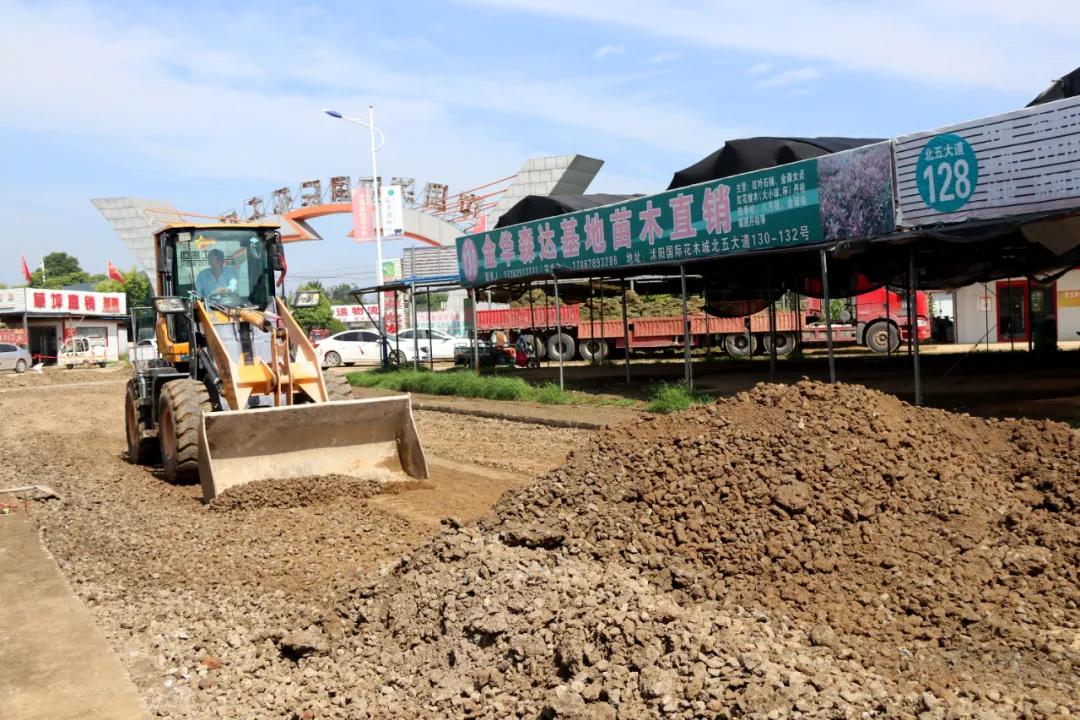 宿迁市沭阳县沭阳国际花木城,沭阳国际花木城布局