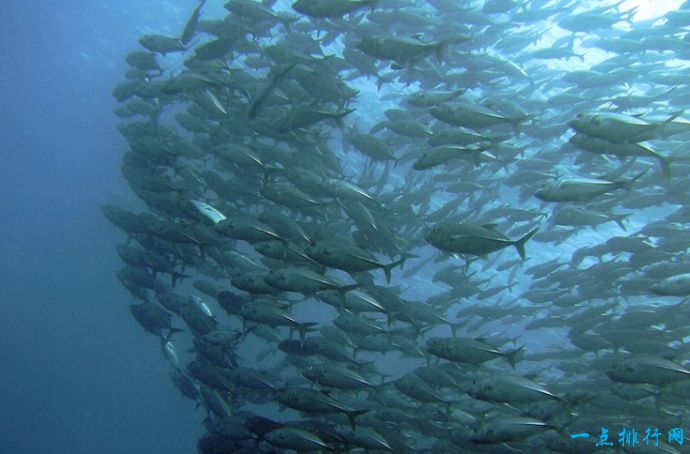 马来西亚旅游必去的十个景点,马来西亚国内海边旅游推荐