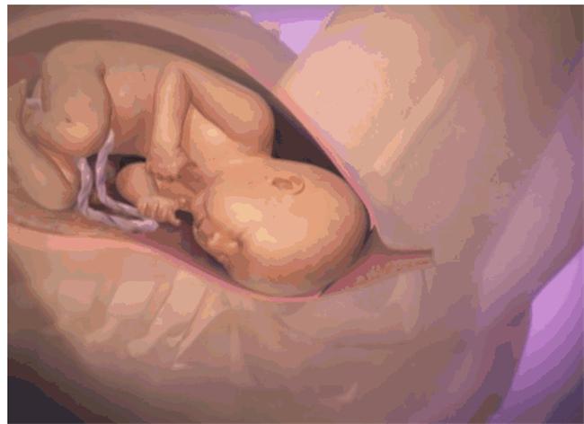 为什么说女人生孩子如同死一回,女人分娩如同鬼门关