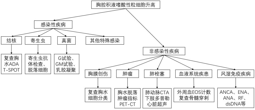 少量胸闷胸腔积液会引起什么,胸腔积液引起的胸闷憋喘