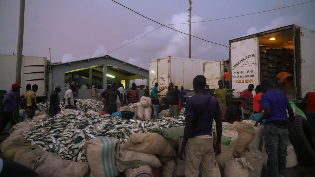 非洲小哥淘来法国二手车开出租，280公里只要47元，但要开12小时