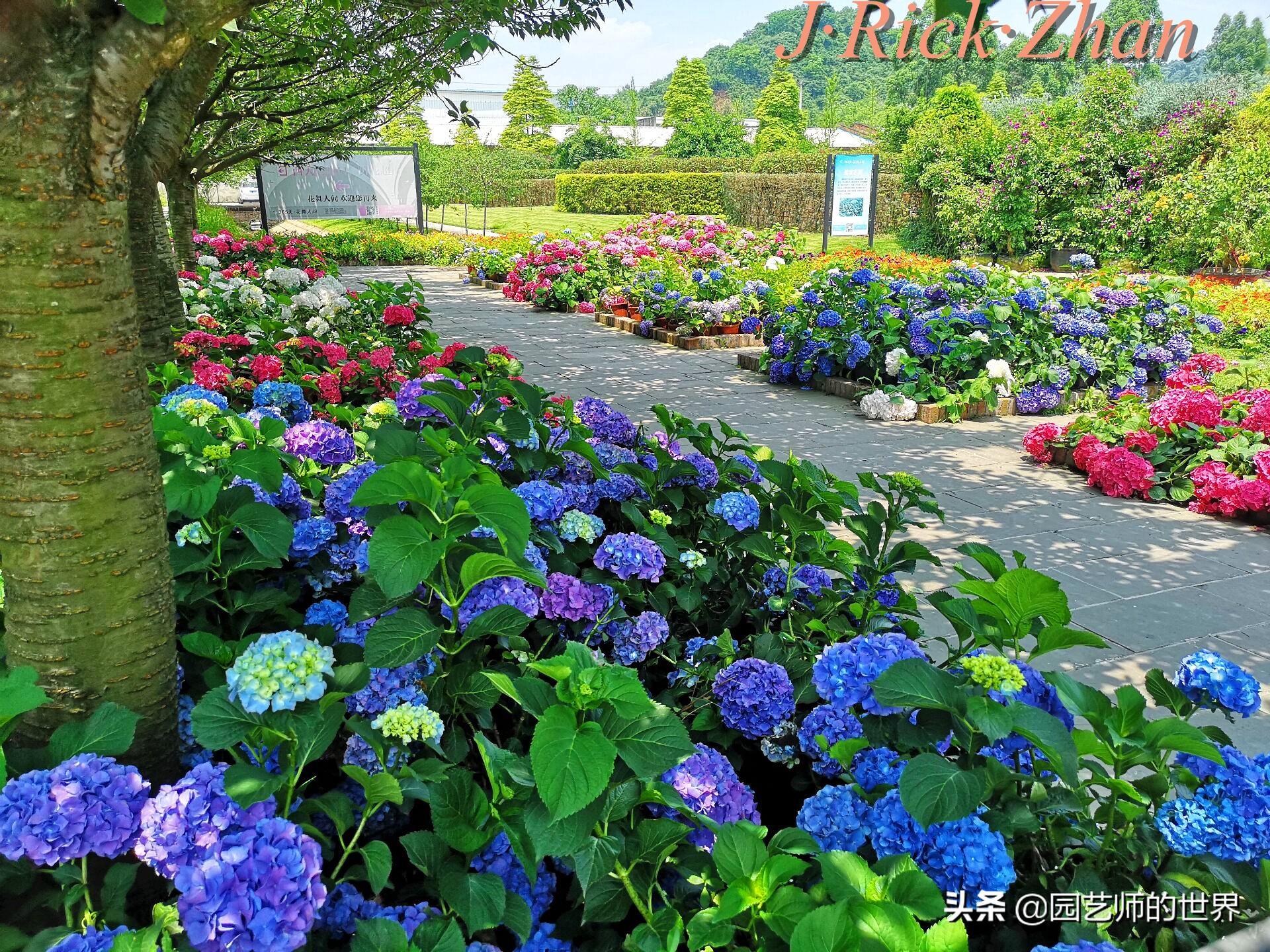 值得参观的国内优秀花园之品鉴（上篇）