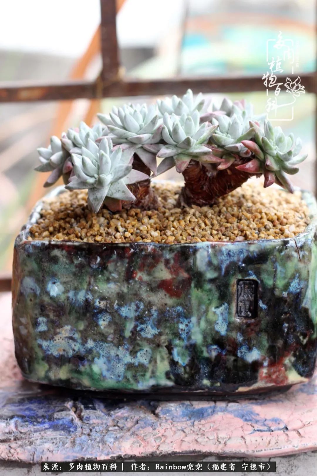 岁月无波澜余生不悲欢是啥意思,愿你岁月无波澜敬我余生无悲欢