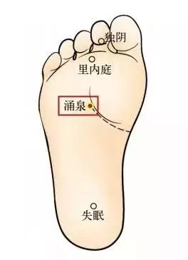 补气提升免疫力,补气提高免疫力最好的方法