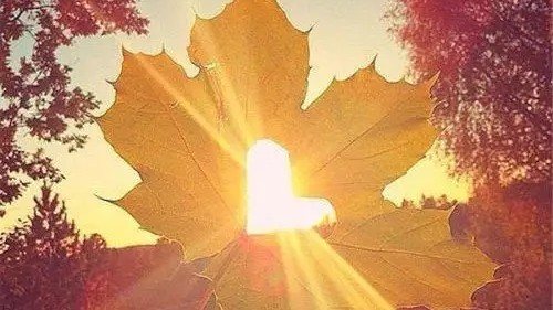 一觉醒来竹马变男友讲了什么,一觉醒来竹马变男友小说