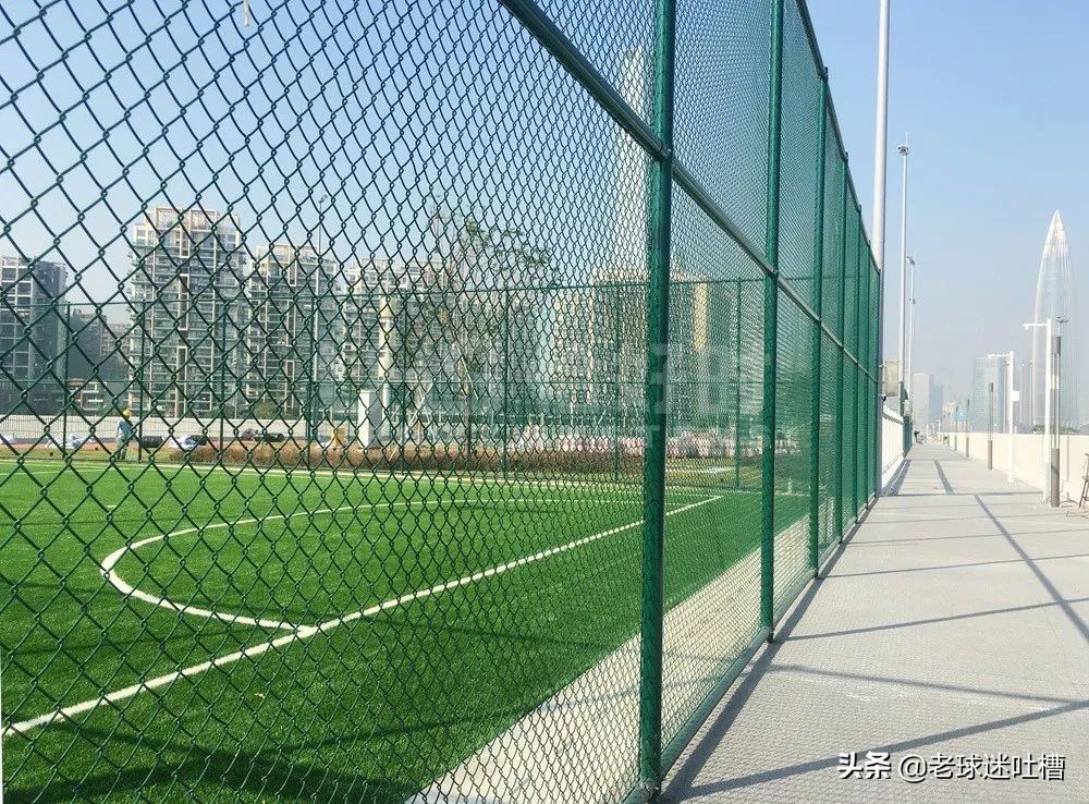 2019年重要项目,2019年最成功的项目