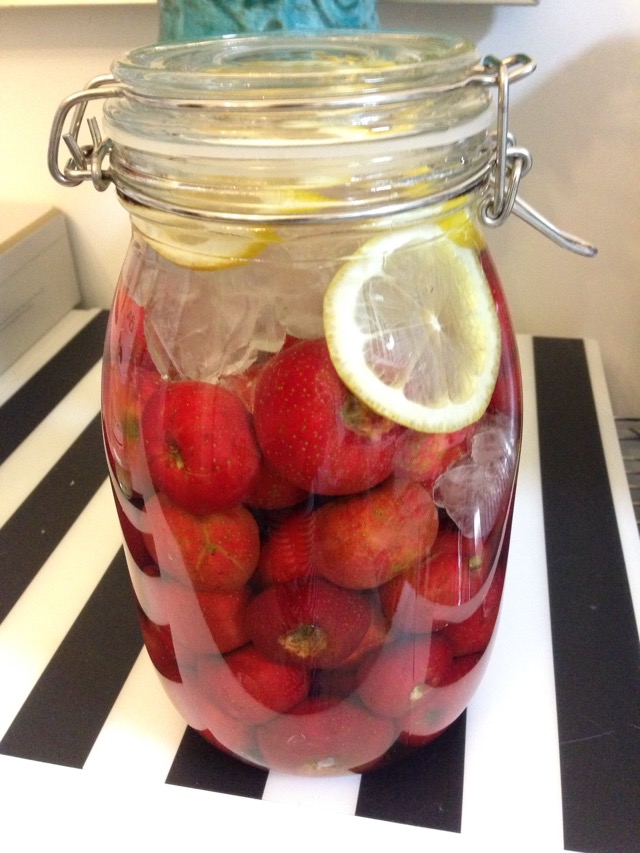 自制各种水果酒正确方法,自制水果酒的做法大全