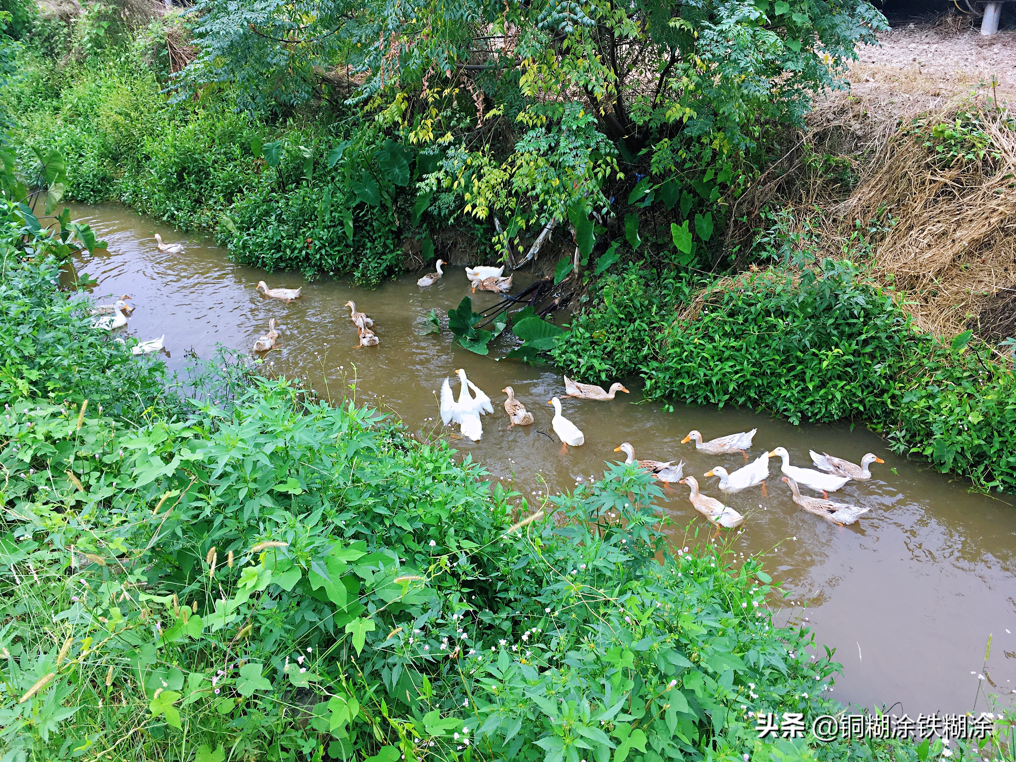 安义最大的古村落,发现安义古村