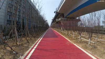 水下摄影4k,海鸟4k运动相机深度评测