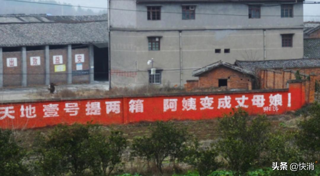 北大才子卖猪肉合法吗,卖猪肉的北大才子