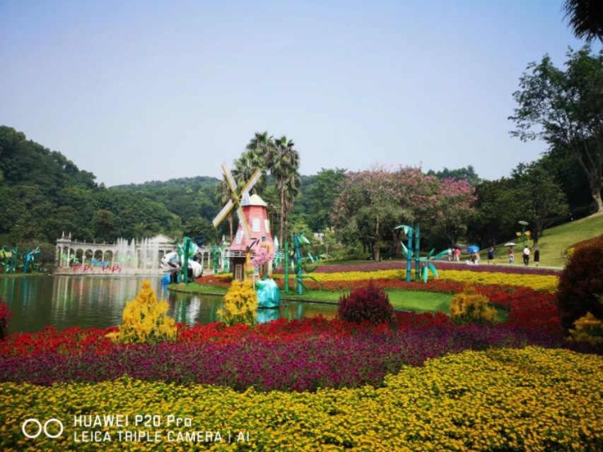 广州云台花园花展,广州云台花园咋样