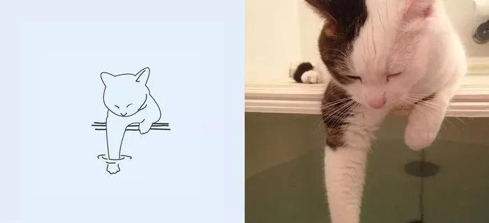 一波可爱动物简笔画,超火的简笔画动图