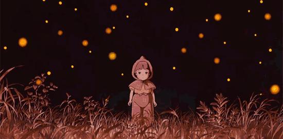 你原来是这样的萤火虫，估计老师们也很少知道！