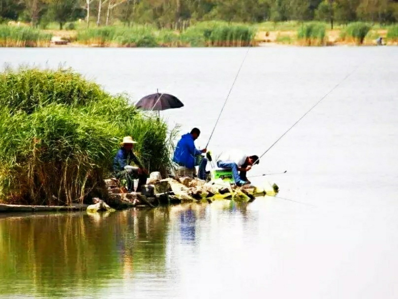 钓鱼遇到的奇葩趣事,钓鱼生涯中遇到的事