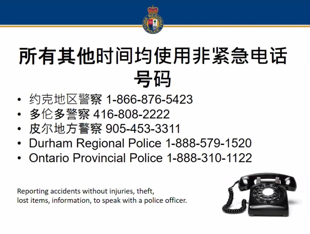 加拿大平民能合法持枪吗,加拿大人可以合法持枪吗