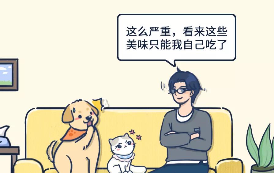 狗吃了柚子会怎样,狗吃柚子吐了