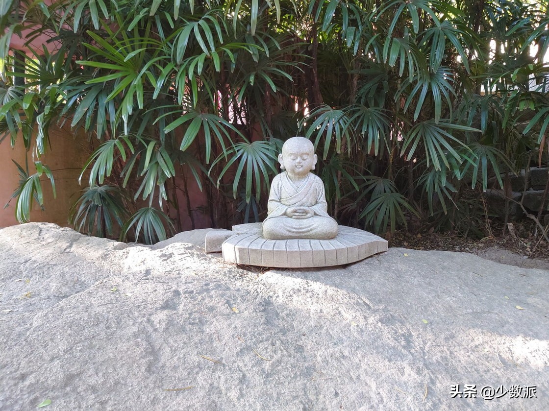 索尼手机xperia1ii真实体验,索尼xperia1ii现在还值得买吗