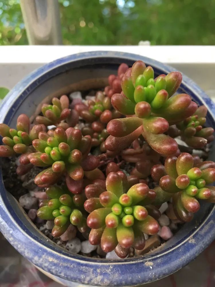 一见倾心二见,一见倾心二见倾城三见定终身