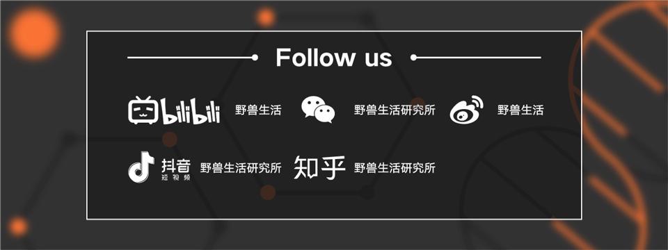 猪肝可以补充哪种维生素,猪肝千万别生吃