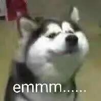 a站b站c站f站分别是什么,a站b站c站d站指的是啥