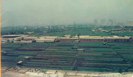 七十年代以来广州的生活的变迁,八十年代以前的广州照片