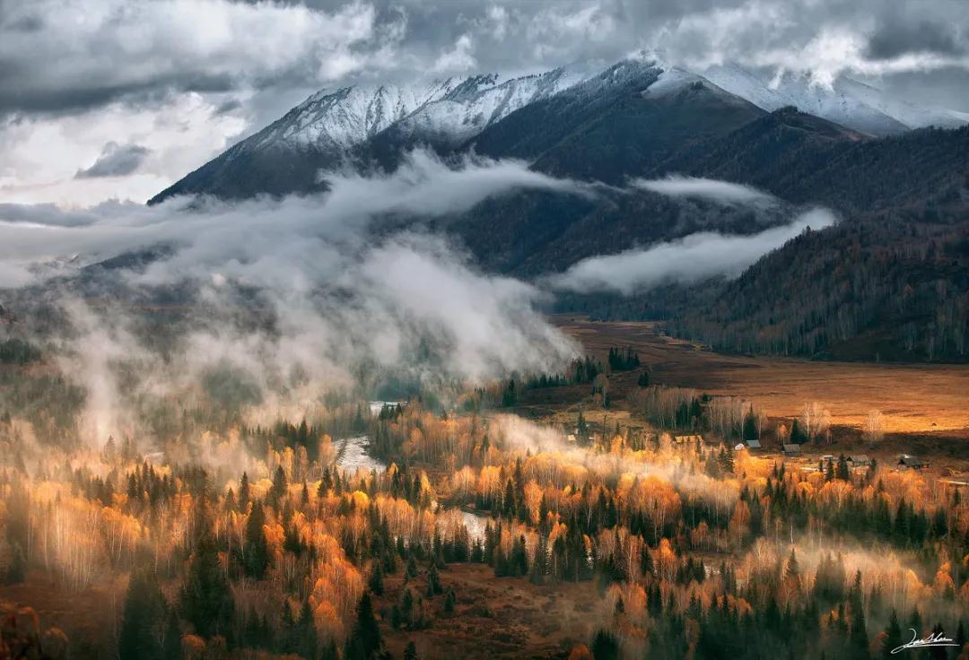 散文作家苏沧桑,苏沧桑的《时光的气味》读后感