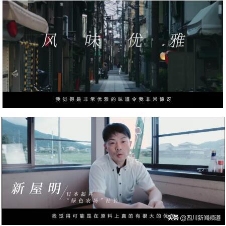 梅见青梅酒真的好喝吗,梅见青梅酒怎么火起来的