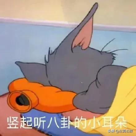 德妃紫苏隔离霜辨真假,德妃紫苏安瓶精华