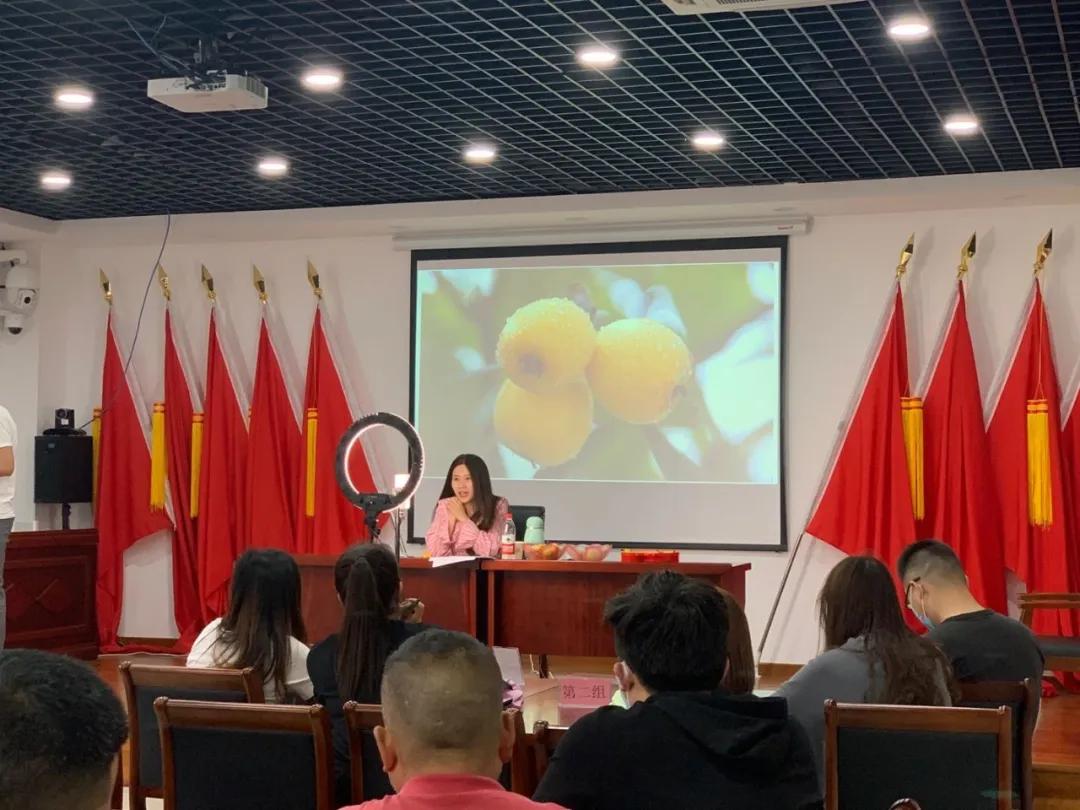 周末东山采枇杷采摘攻略已出,枇杷采摘攻略