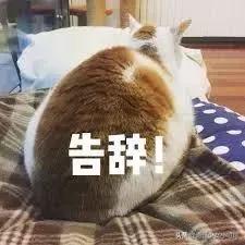 防晒霜真的有光毒吗,风信有毒吗