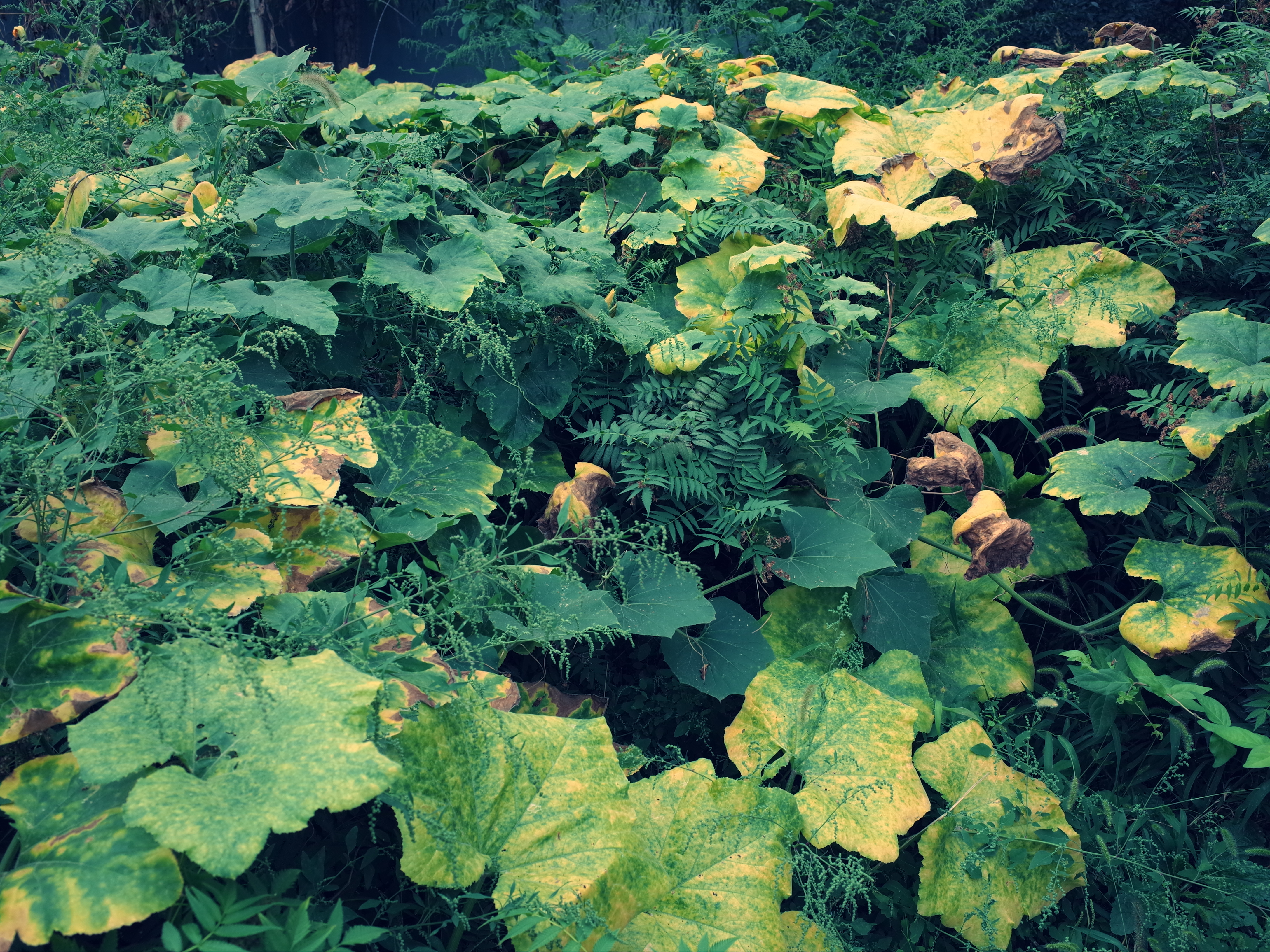 不要被器材左右，我们追求的终究还是摄影的精髓：理光GR（下）