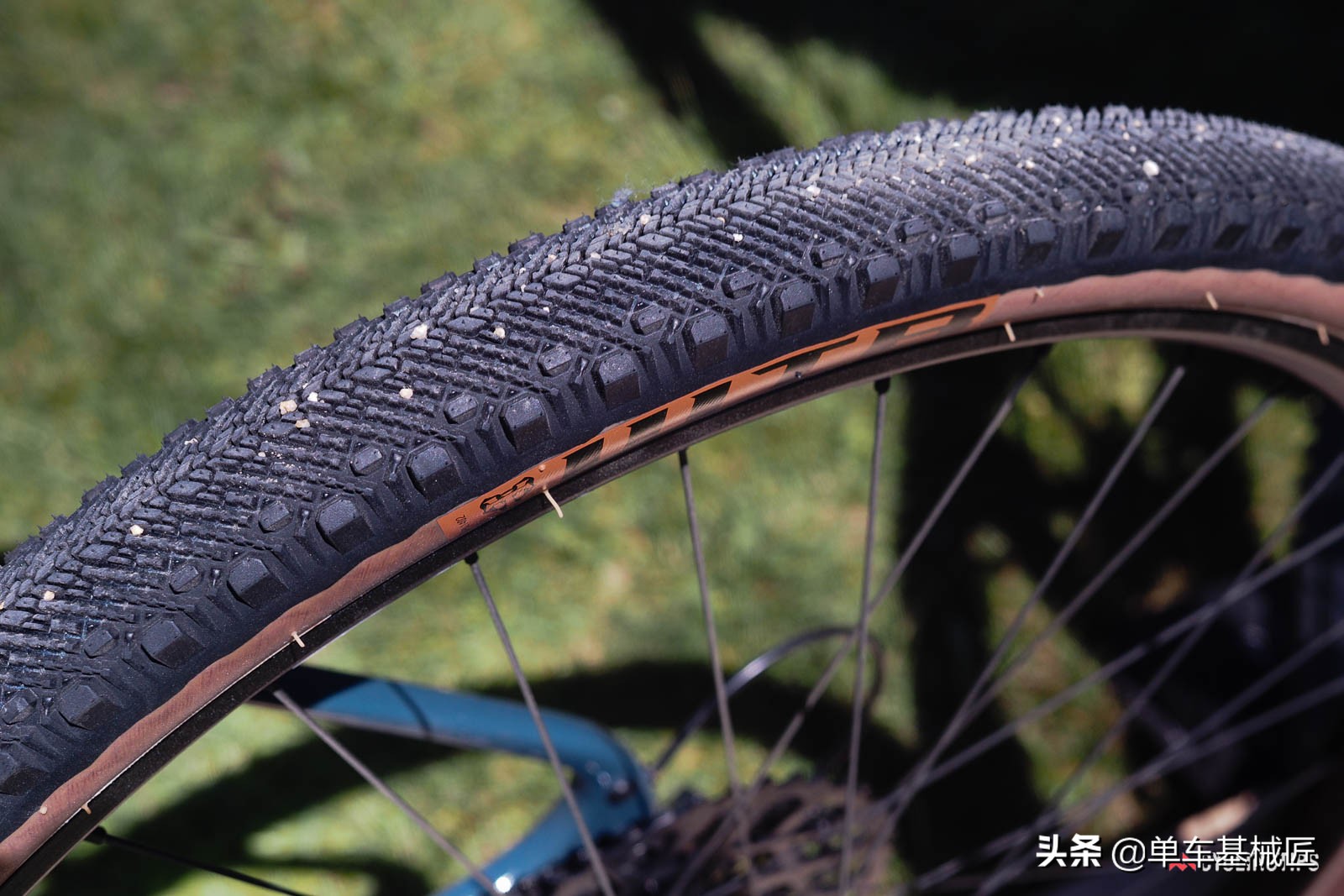 照片集：在海獭自行车展上，无论你是什么玩家，都能找到你的乐子