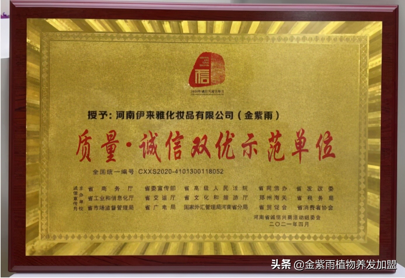 金紫雨品牌创始人张竞文,金紫雨张竞文采访