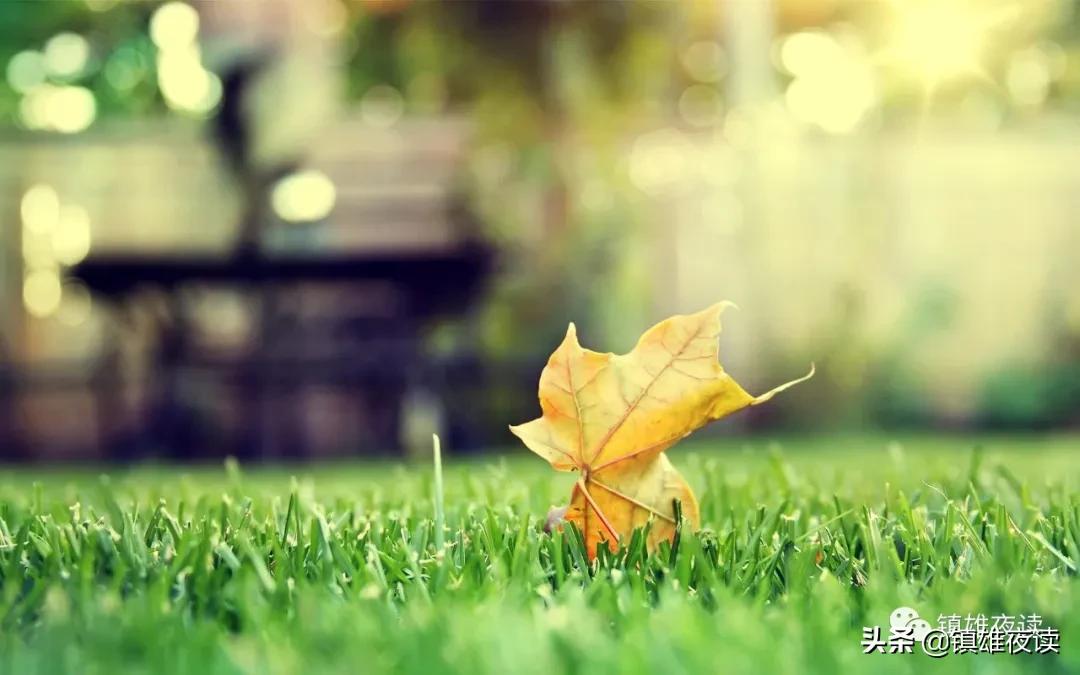 己所不欲勿施于人作文800字,己所不欲勿施于人的上一句是什么