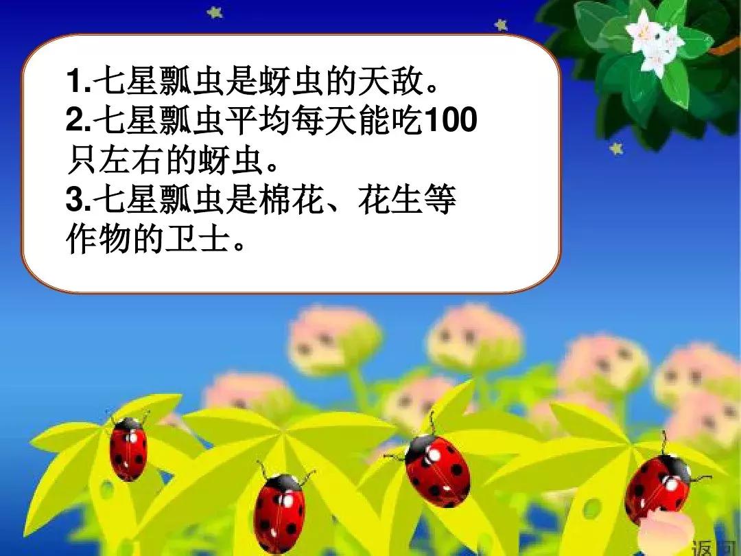 一年级下册语文19课棉花姑娘,一年级棉花姑娘课文笔记