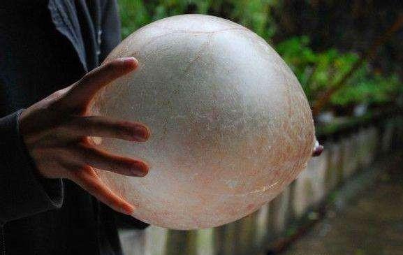 现代足球最强阵型排名,足球基本阵型与基本战术