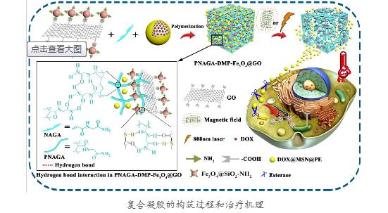 西安交大肿瘤医院肿瘤谁治的好,国际上治疗宫颈癌的最新消息