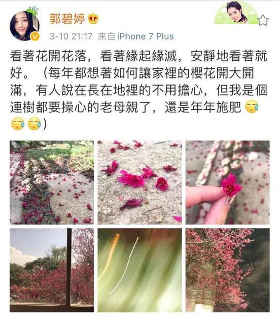郭碧婷再被疑怀孕,郭碧婷孕期微博
